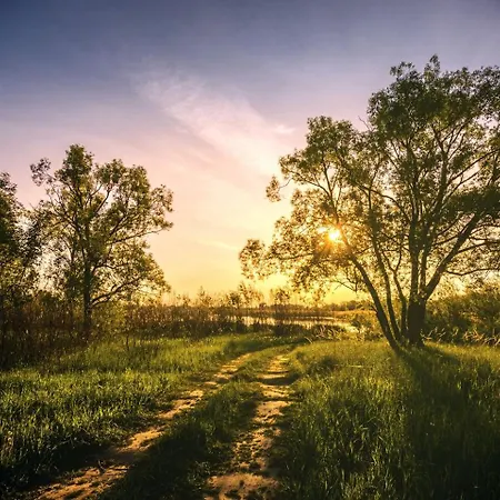 Boutique Luxury Nature Retreat With Private Forest & Gin Experience Near Fokovci, Mura, Slovenia *